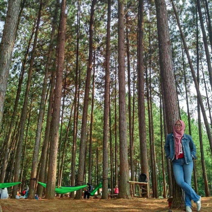 Tempat wisata terbaik di Kabupaten Cianjur terbaru