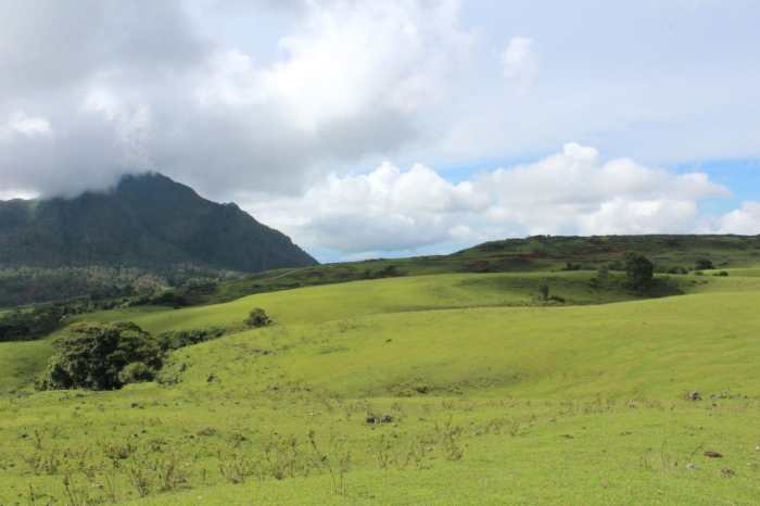 bukit wisata atambua kompas ampat raja nya timur nusa tenggara ntt indahnya kefa belu disebut tokopedia pemandangan kawasan kecamatan anleu