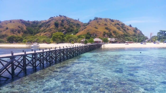 Tempat wisata terbaik di Kabupaten Flores Timur terbaru