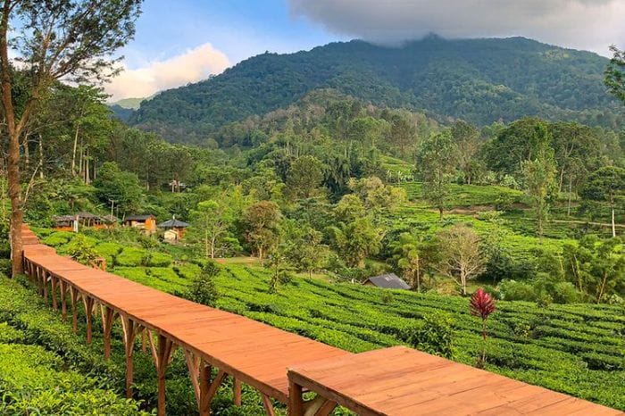 Tempat wisata terbaik di Kabupaten Gunung Mas
