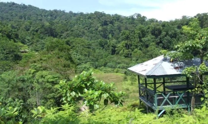 bukit tiga puluh