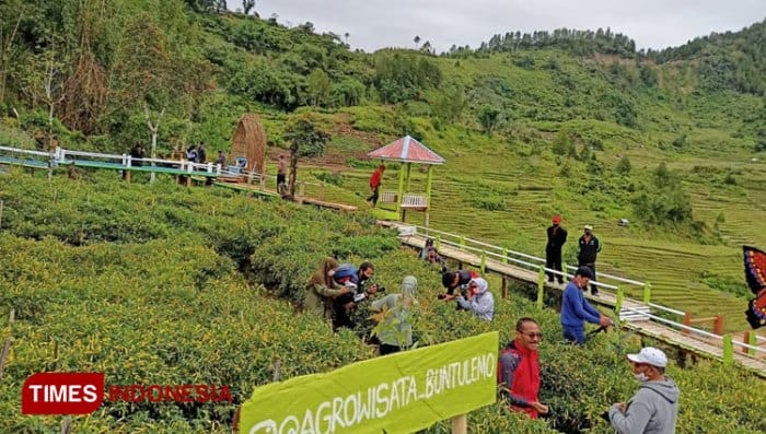 Tempat wisata terbaik di Kabupaten Luwu Utara