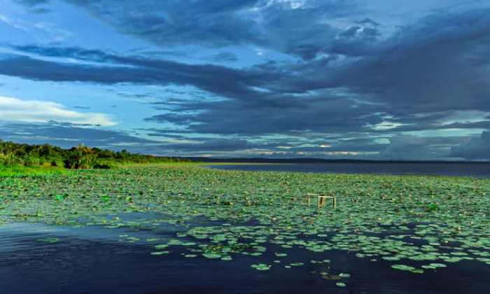 Tempat wisata terbaik di Kabupaten Mamberamo Tengah terbaru