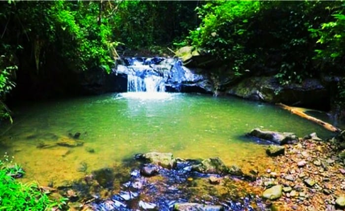 Tempat wisata terbaik di Kabupaten Tanjung Jabung Barat