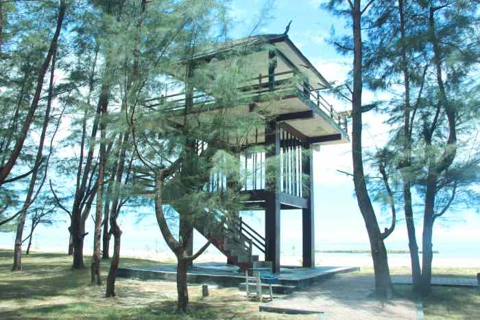 Tempat wisata terbaik di Kabupaten Sukamara