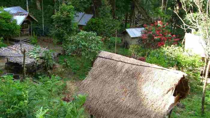 Tempat wisata terbaik di Kabupaten Gayo Lues terbaru