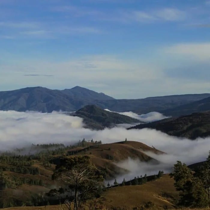 poso daerah kabupaten sulteng