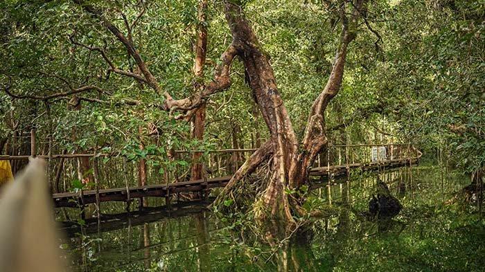 Tempat wisata terbaik di Kabupaten Biak Numfor terbaru