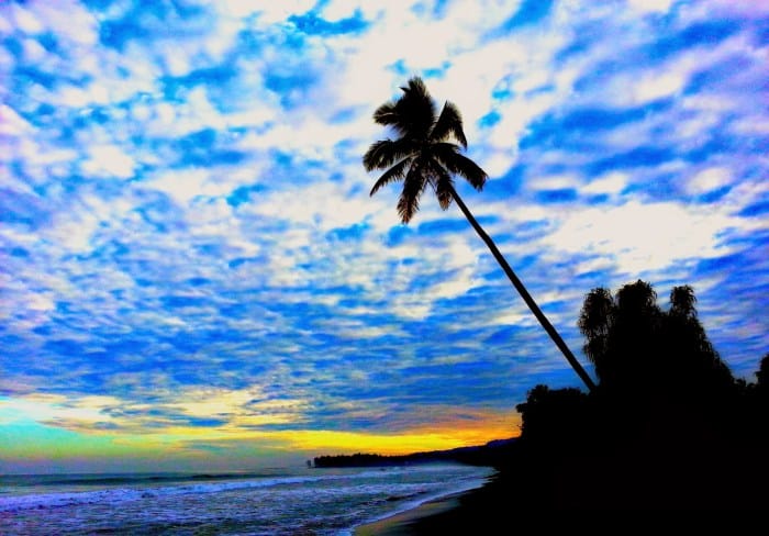 tambrauw okezone tradisional barat destinasi jadi strategi unggulan wisata papua kemerdekaan ramaikan flashmob penari siap utami riyani