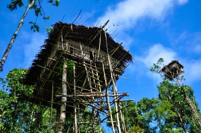 Tempat wisata terbaik di Kabupaten Boven Digoel terbaru