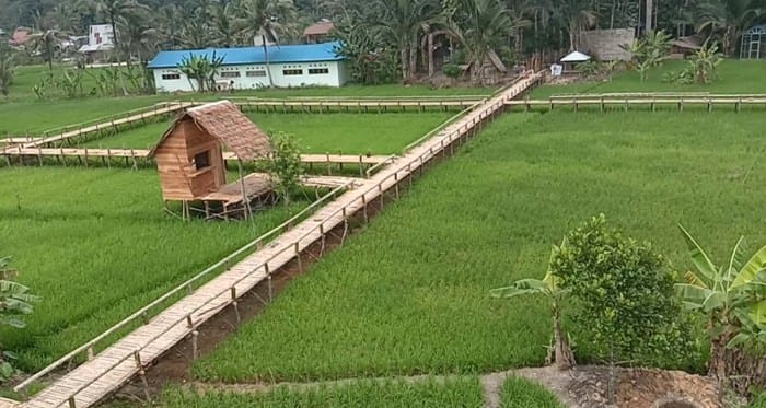 Tempat wisata terbaik di Kabupaten Balangan