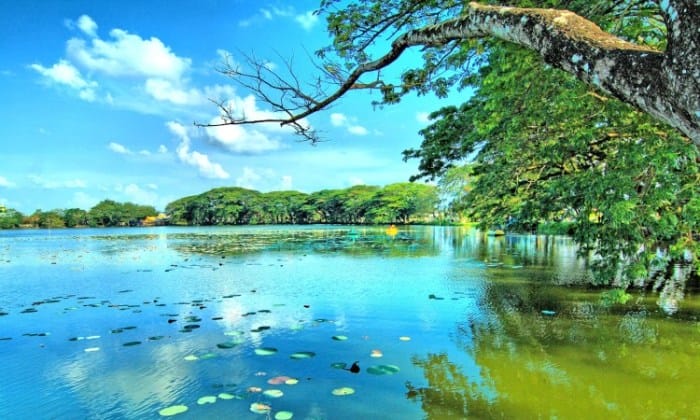 Tempat wisata terbaik di Kabupaten Indragiri Hilir terbaru