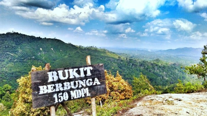 Tempat wisata terbaik di Kabupaten Indragiri Hilir terbaru