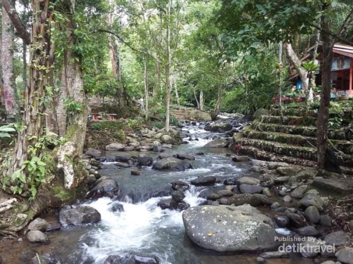 kilang samar arung jeram bener meriah rafting agara pesertanya alas asal ketambe mancanegara wisataterbaru aceh wisata