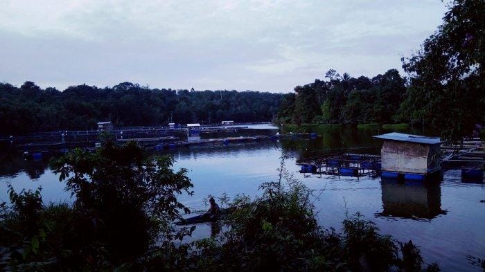 Tempat wisata terbaik di Kabupaten Tebo terbaru