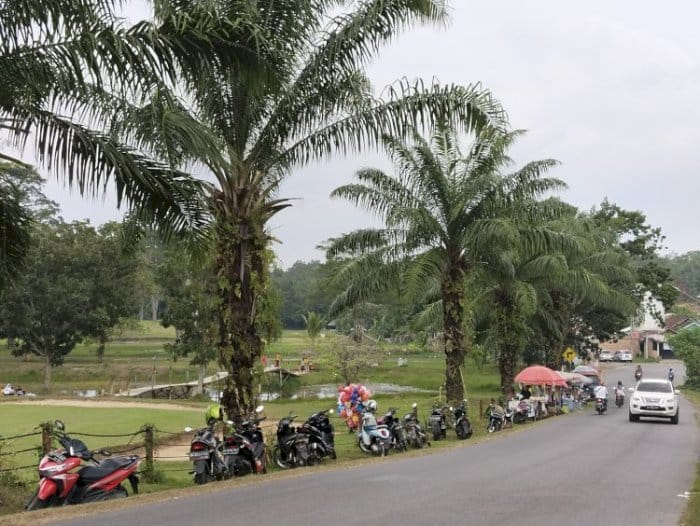 Tempat wisata terbaik di Kabupaten Penukal Abab Lematang Ilir terbaru