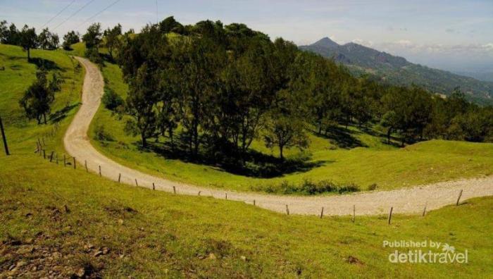 Tempat wisata terbaik di Kabupaten Timor Tengah Selatan terbaru