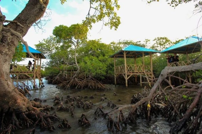 mangrove gonda polewali wisata destinasi mandar terletak tepatnya perdagangan wonomulyo kecamatan dusun kilometer dari
