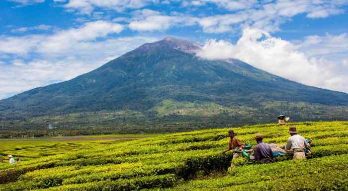 gunung kerinci jambi volcano tertinggi daerah berapi sumatra wisata tempat highest pemandangan pariwisata sumatera tenggara daftar nyabu mw seblat provinsi