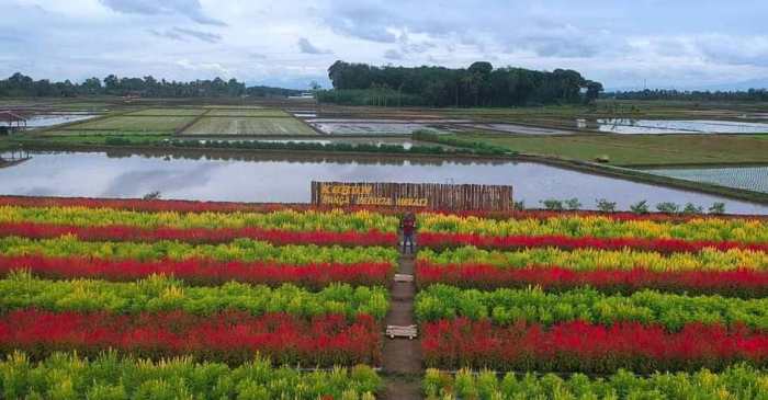 rawas musi wisata objek rimba kab sumber humas