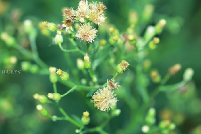 Berkat Tuhanlah Yang Menjadikan Kaya: Memahami Kebenaran di Balik Makna Kekayaan