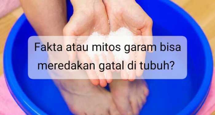 Apakah Garam Bisa Menyembuhkan Gatal? Rahasia Kulit Sehat