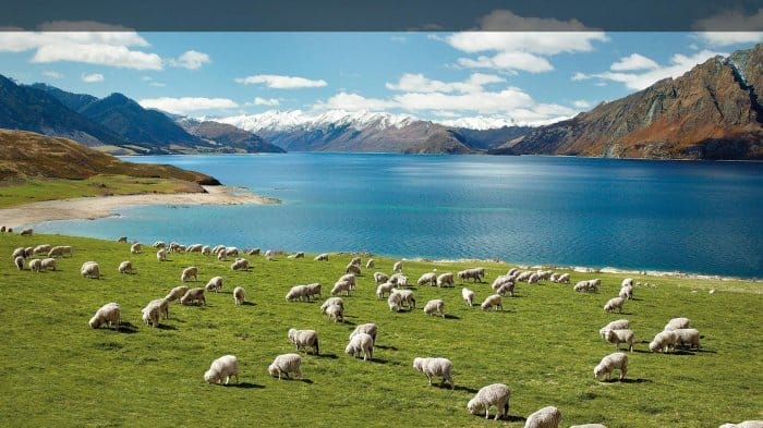 Australia Selandia Baru: Perbandingan Budaya, Wisata, dan Ekonomi